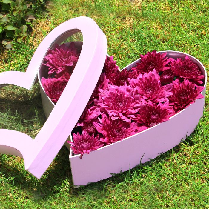 Purple Perfection Daisies Arrangement