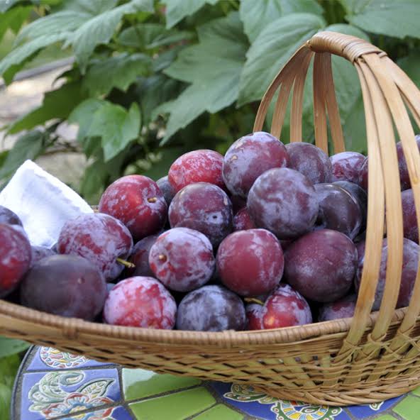 Healthy Plums Basket