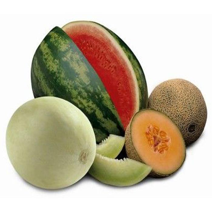 Seasonal Fruit Treat
