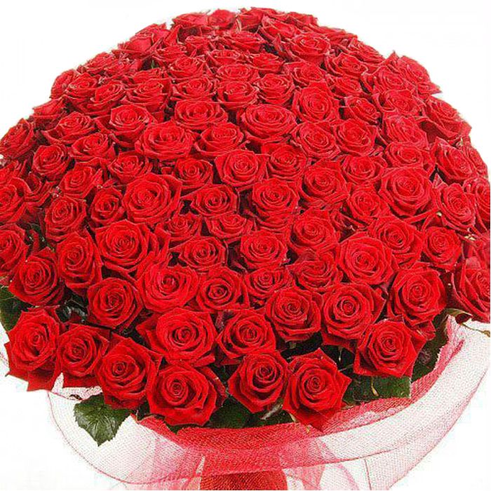 500 Local Red Roses Bunch