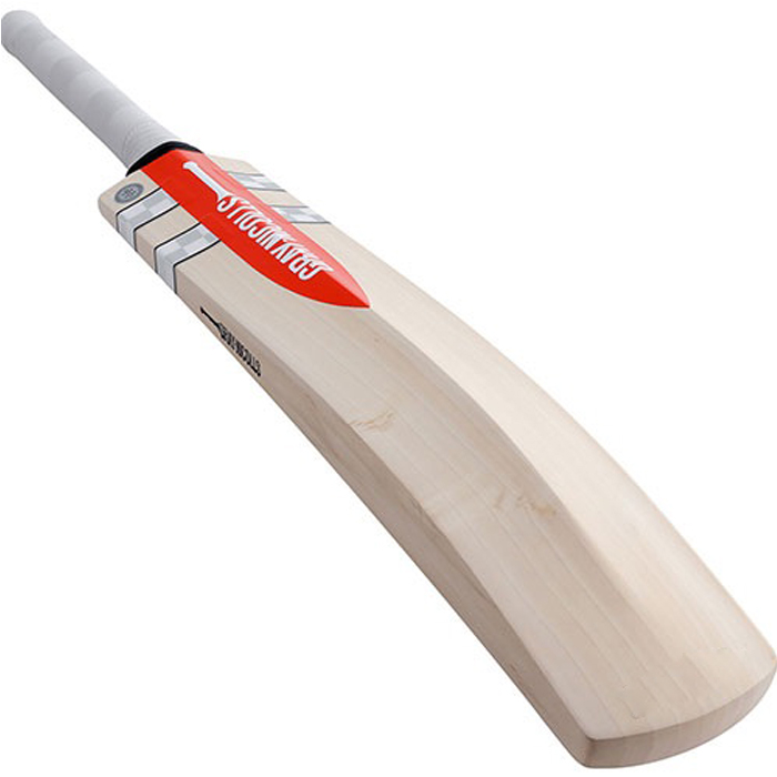 Hard Ball Bat